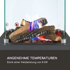 Flagranti Crystal View Gasheizstrahler 8kW Edelstahl -Warmekuche Pro Geschaft 10035094 de 0003 logo