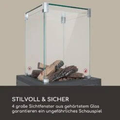 Flagranti Crystal View Gasheizstrahler 8kW Edelstahl -Warmekuche Pro Geschaft 10035094 de 0005 logo