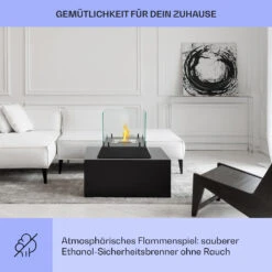 Phantasma Cubo Ethanol-Kamin Rauch- & Geruchlos Edelstahl-Brenner Sicherheitsglas -Warmekuche Pro Geschaft 10035458 de 0004 usp