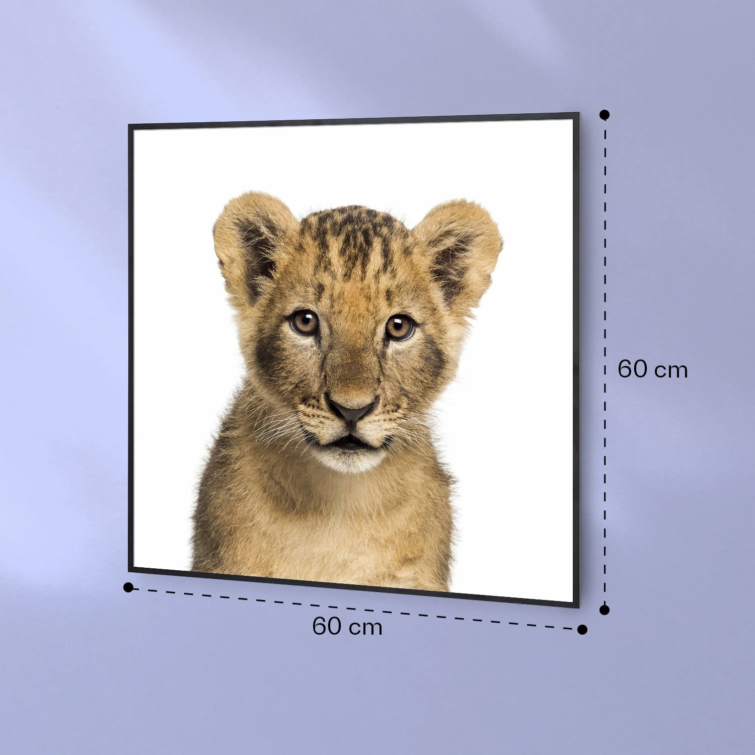 Wonderwall Air Art Smart Infrarotheizung Löwe 60x60cm 350W 7 Wonderwall Air Art Smart Infrarotheizung Löwe 60x60cm 350W – Bild 7