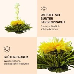 Feelino_Teaflower_white 12 Feelino_Teaflower_white -Warmekuche Pro Geschaft 10040410 de 0006 logo